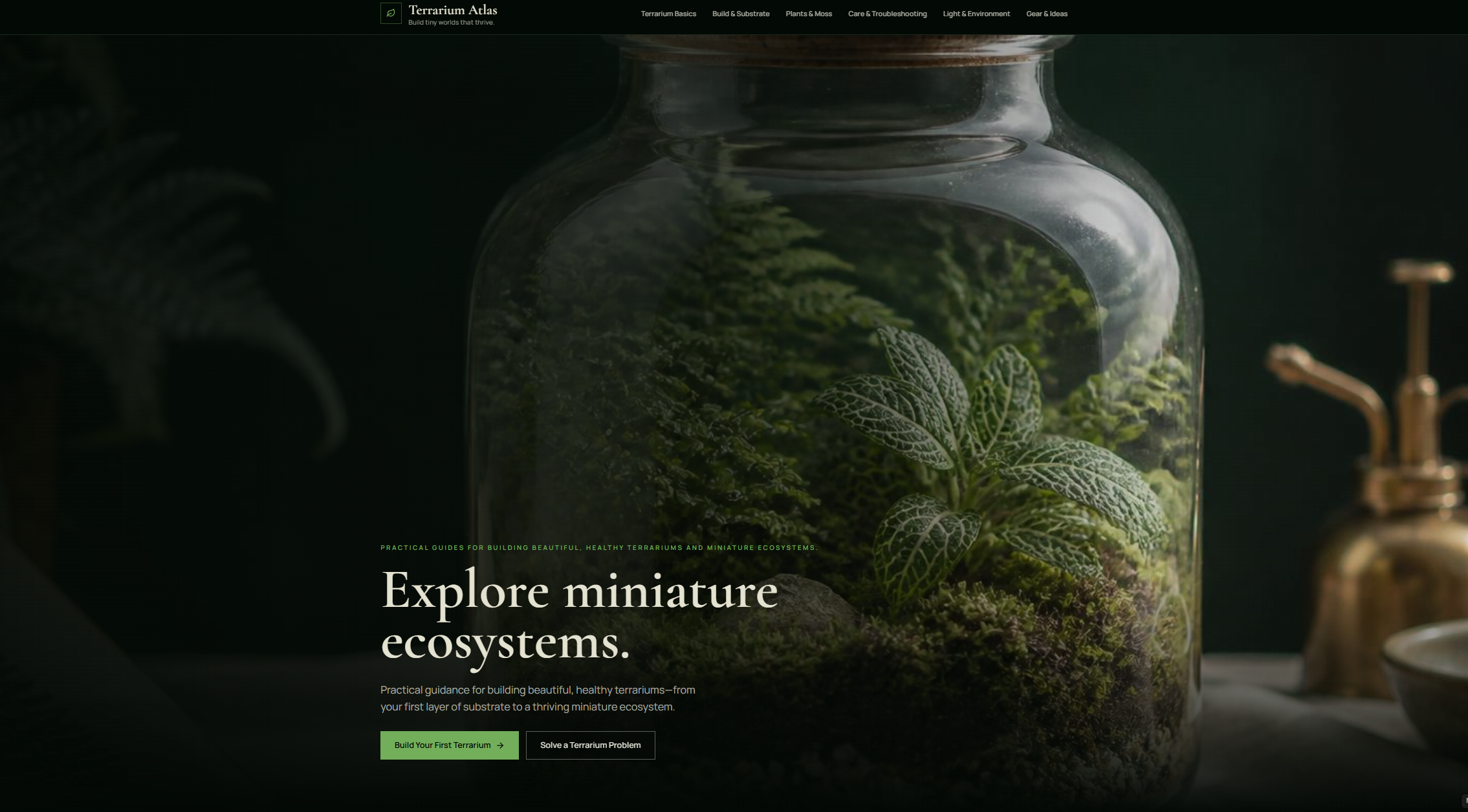 Terrarium Atlas homepage with a planted glass terrarium